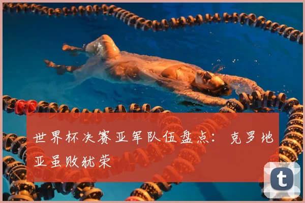 世界杯决赛亚军队伍盘点:克罗地亚虽败犹荣