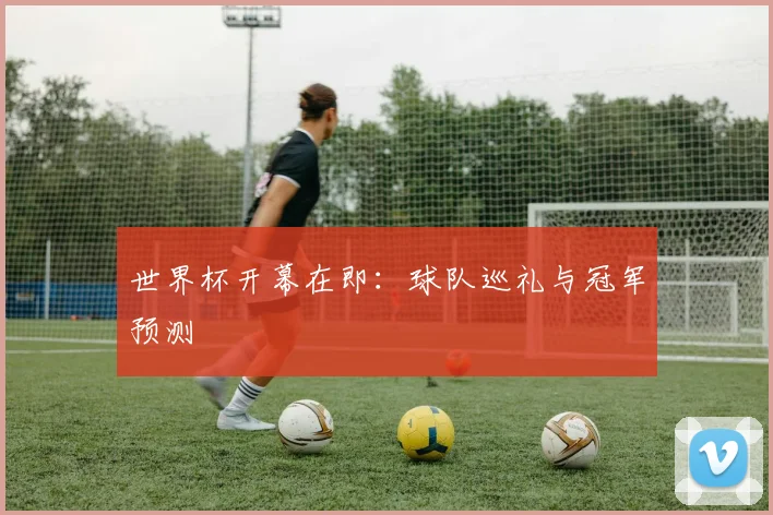 世界杯开幕在即：球队巡礼与冠军预测